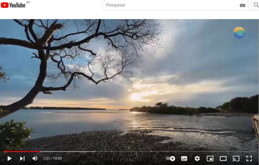 projeto-cetaceos-da-costa-branca-lanca-documentario-sobre-a-soltura-do-peixe-boi-marinho-gabriel