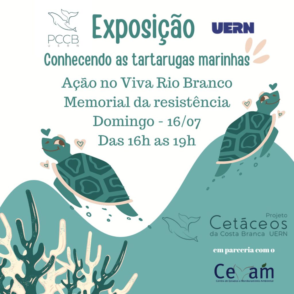 projeto-cetaceos-realizara-atividade-em-defesa-das-tartarugas-marinhas