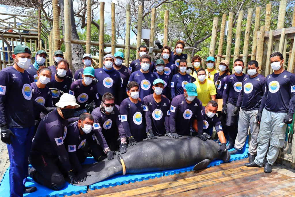 projeto-cetaceos-da-costa-branca-recebera-o-premio-muriqui-nesta-segunda-feira