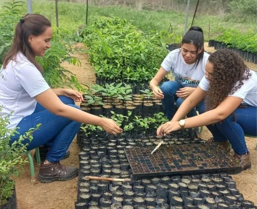 viveiro-de-mudas-da-uern-promove-minicurso-voltado-a-producao-de-mudas