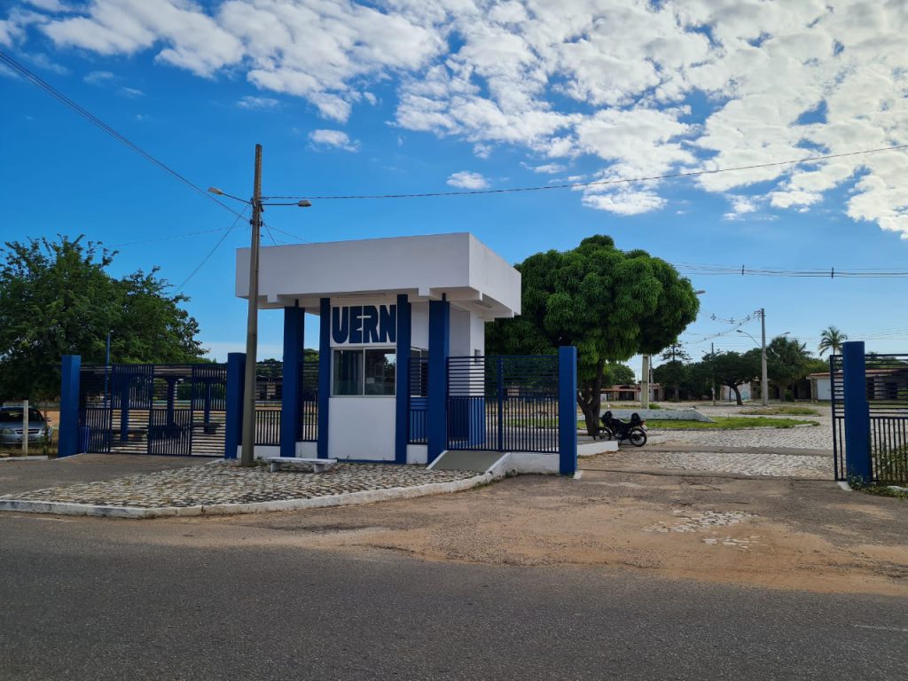 uern-tem-destaque-no-ranking-adscientific-2024;-professora-da-uern-lidera-entre-os-mais-influentes